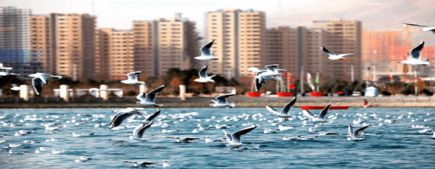 دریاچه شهدای خلیج فارس منطقه ای چهار فصل